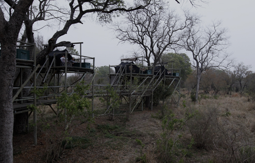 kruger tree house tent