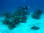 bahama diving