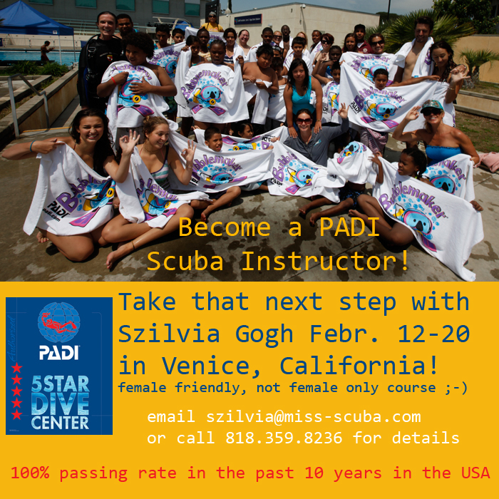 Miss Scuba: become a PADI scuba instructor with Szilvia Gogh