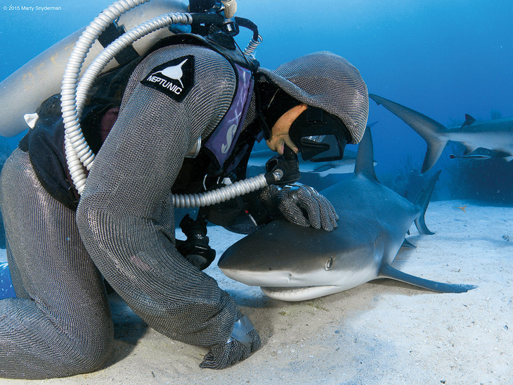 Cristina Zenato talks about her encounters with sharks to remove hooks from their mouths