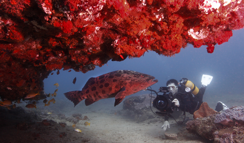 Rocktail Bay Mokkaran Dive Center