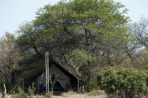 kruger base camp