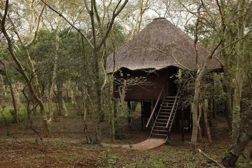 Ubizane Tree Lodge