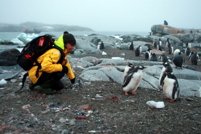 Antarctica Basecamp Plancius