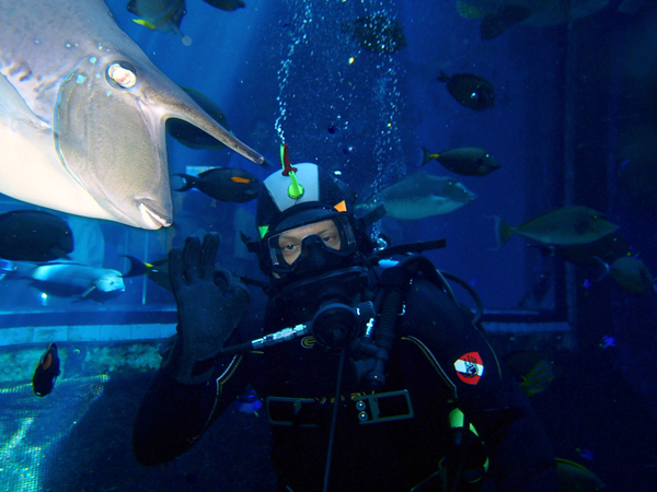 scuba dive in the aquarium