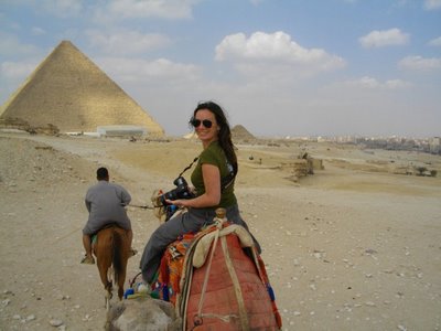 red sea safari