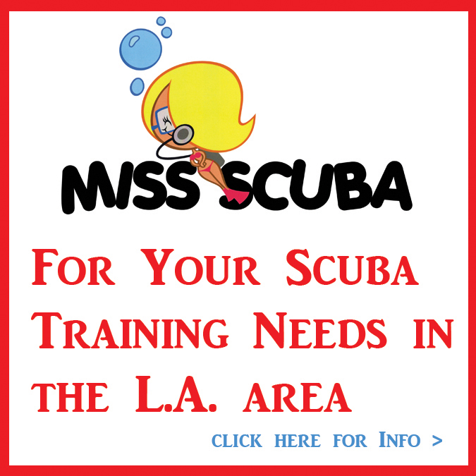 Take Your Scuba Classes with Szilvia Gogh Founder of Miss Scuba!