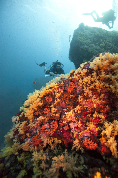 Finally, after three weeks of travel we arrived to the highly anticipated dive portion in Thailand. 