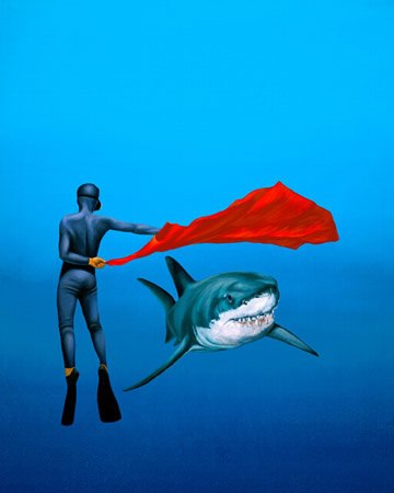 Pascal Lecocq Shark