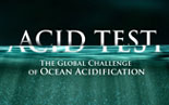 acid test